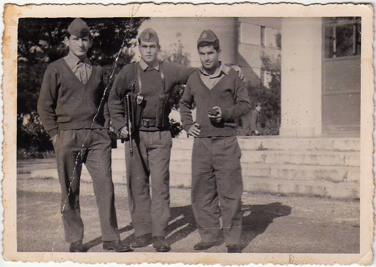 Foto n.8